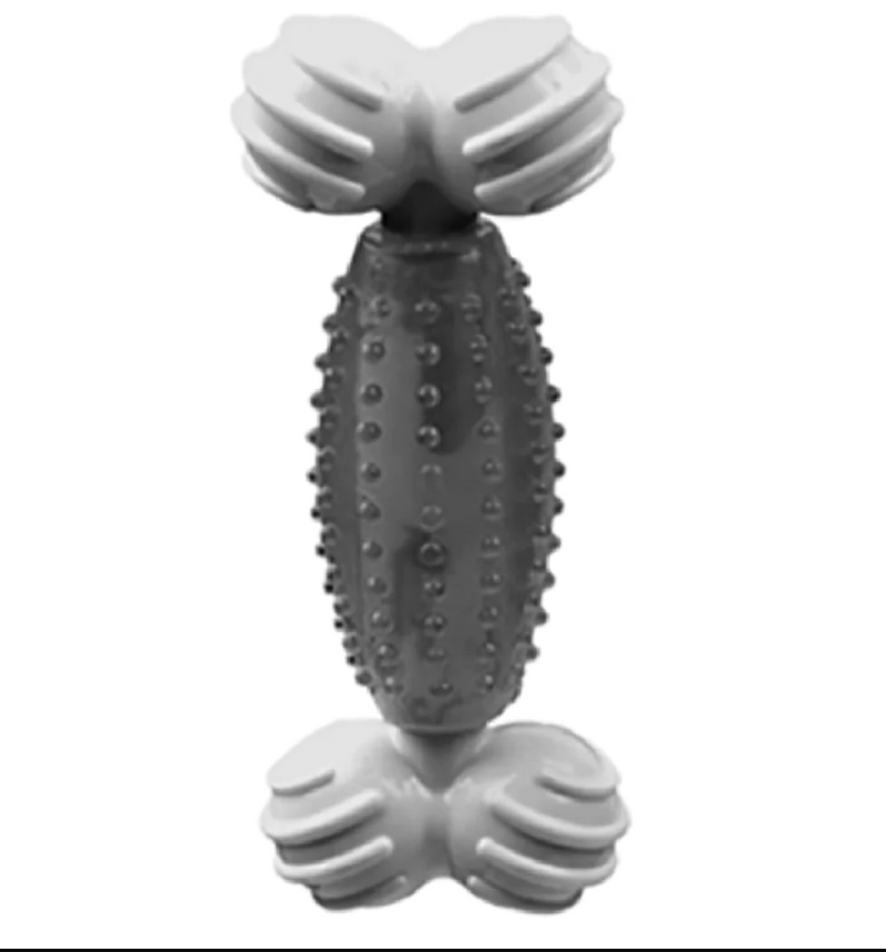 TTJG-Canine Clean Peppermint Bone Dental Dog Toy