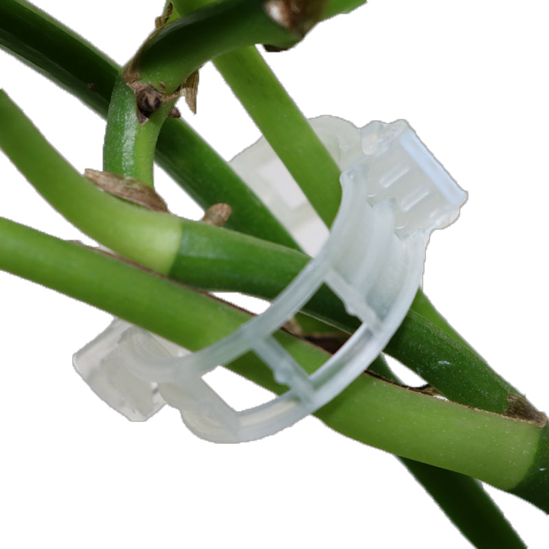 SK913-Garden Supplies Pliers Plants 50 Pieces