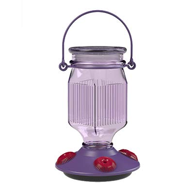 CCK-Perky-Pet Woodstream 9101-2 Glass Hummingbird Feeder, Lavender - Quantity 22