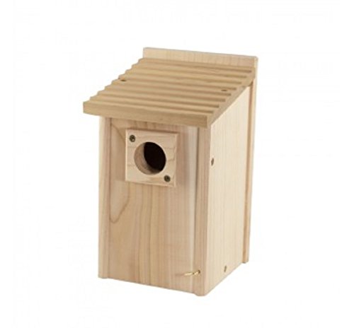 CCK-Blubrd House Red Cedar;Length:33cm;Width:33cm;Height:726cm