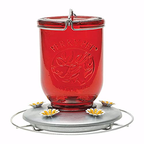 CCK-Perky-Pet Hummingbird 32 oz. Glass Nectar Feeder 5 Ports - Case of: 22