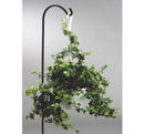 CCC-Panacea Black Wrought Iron 48 in. H Single Crook Plant Hook;Length:1219.2cm;Width:1.3cm;Height:8618cm