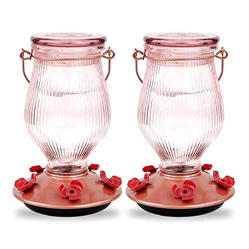 CCK-Perky-Pet Woodstream 9104-2 Hummingbird Feeder, Sun Kissed - Quantity 2