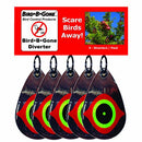 CCK-Bird B Gone Reflective Eye Bird Diverters (Set of 5);Length:17.8cm;Width:17.8cm;Height:113cm
