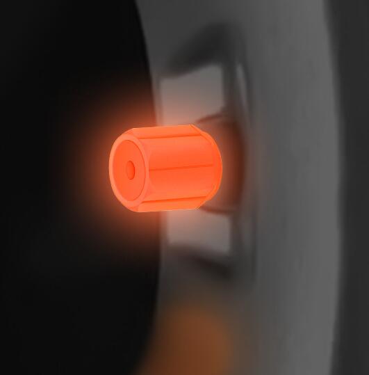 SK676-Auto Supplies Tire Luminous Valve