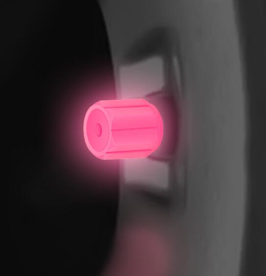 SK676-Auto Supplies Tire Luminous Valve