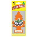 WL01 24PK Orange Car Air Freshener