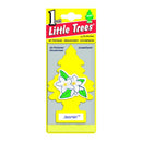 WL01 24PK Car Air Freshener