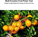 SK249-Fruit Picker