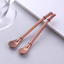 SK539-Filter Straw Spoon