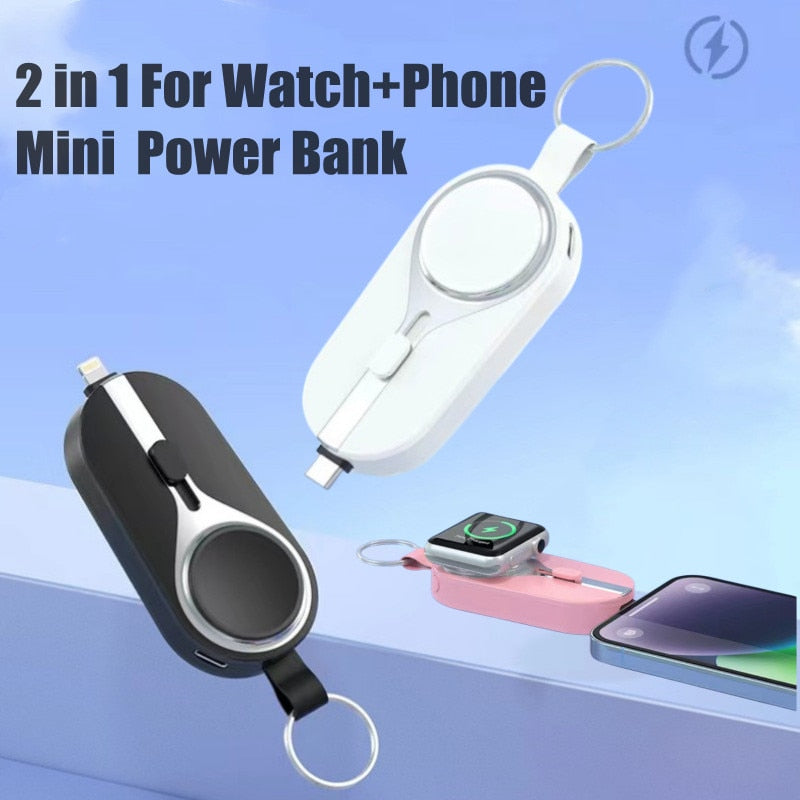 SK982-2 in 1 Mini Powerbank