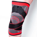SK296-Sports Knee Pads Cycling