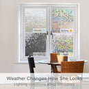 SK560-Window Privacy Film