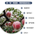 SK207-Apple bagging machine full automatic