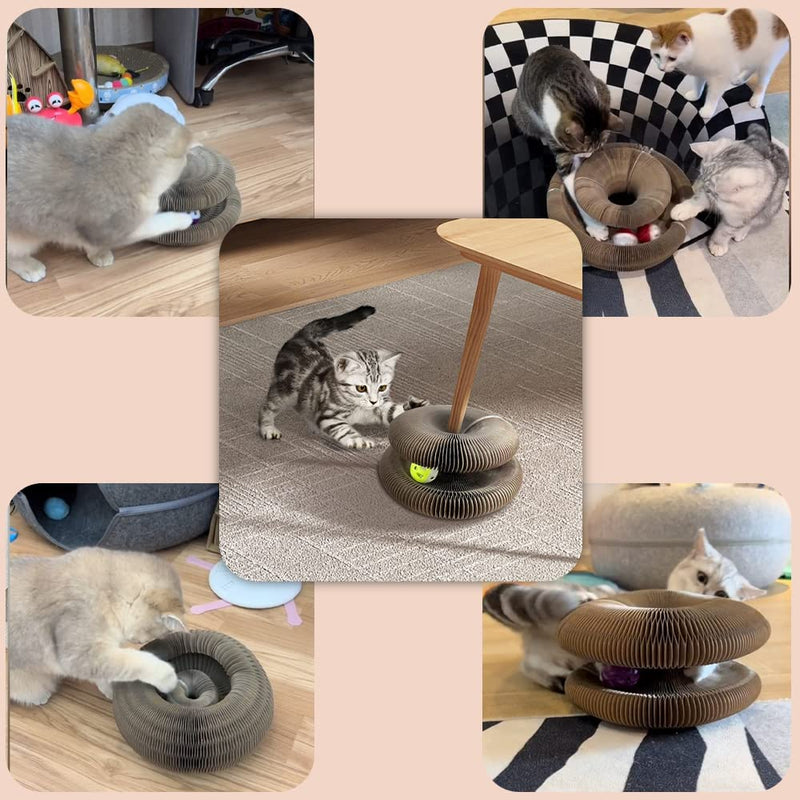SK521-Pet Cat Toy Scratch Board