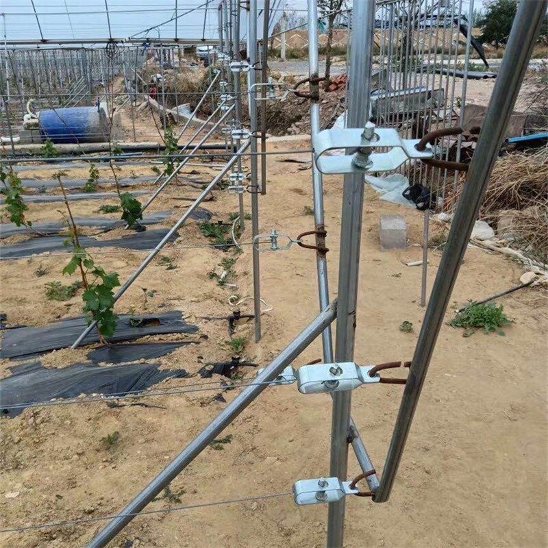 SK565-Grape Rack Tensioner